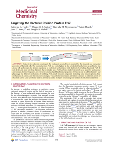 Targeting the Bacterial Division Protein FtsZ