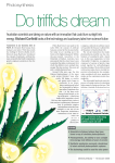 synthetic photosynthesis