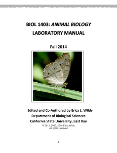 biol 1403: animal biology laboratory manual