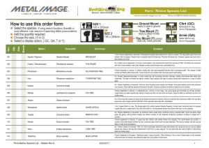 Flora Native Species List