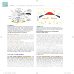 The Heat Energy Budget