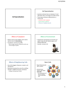 Cell Specialization and Levels of Organization