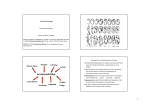 Cell and Embryology Developmental Biology History and Basic