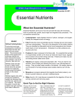 Essential Nutrients - Right Weigh Clinic