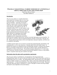 Phacelia tanacetifolia: A brief overview of a potentially useful