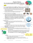 Chapter 2, Minerals