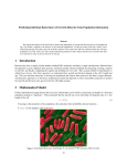 Predicting Individual Bacterium Cell Growth Behavior from