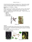 Modified Structures - 1 We observed earlier several types of