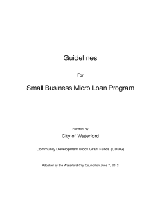 Guidelines Small Business Micro Loan Program