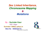 Sex Linked Inheritance, Chromosome Mapping