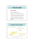 Fats and Lipids