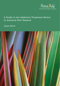 A Guide to the Addiction Treatment Sector in Aotearoa
