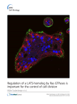 Regulation of a LATS-homolog by Ras GTPases is important for the