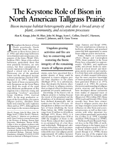 The Keystone Role of Bison in North American Tallgrass Prairie