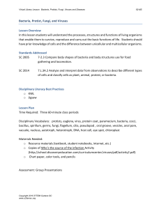 Bacteria, Protist, Fungi, and Viruses Lesson Overview In this lesson