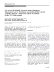 Life cycle of the jellyfish Rhizostoma pulmo (Scyphozoa - ICM-CSIC