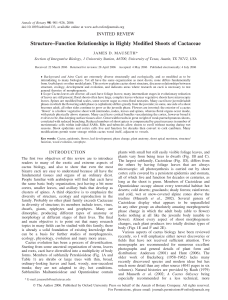 Structure–Function Relationships in Highly Modified Shoots of