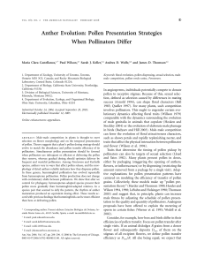 Castellanos et al. anther evolution 2006 Am Nat