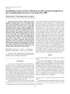 Iron-Binding Activity of FutA1 Subunit of an ABC