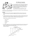 The Molecular Connection