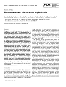 The measurement of exocytosis in plant cells