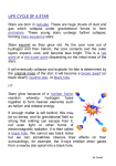 Life Cycle of a Star Notes