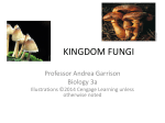 Kingdom Fungi - Bakersfield College