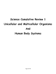 Science Cumulative Review 1 Unicellular and Multicellular