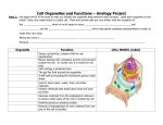 Cell Organelles and Functions – Analogy Project