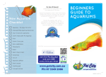 beginners guide to aquariums