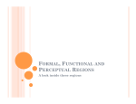 FORMAL, FUNCTIONAL AND PERCEPTUAL REGIONS