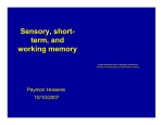 Sensory, short-term and working memory