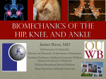 Biomechanics of the Hip, knee, and ankle