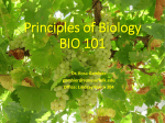 Bio101 Topic 1-2