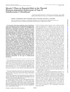 Myosin V Plays an Essential Role in the Thyroid Hormone