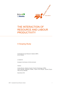 the interaction of resource and labour productivity