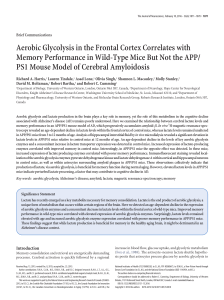 Aerobic Glycolysis in the Frontal Cortex Correlates with Memory