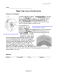 Observing Convection Currents - Science