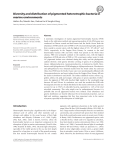 Diversity and distribution of pigmented heterotrophic bacteria in