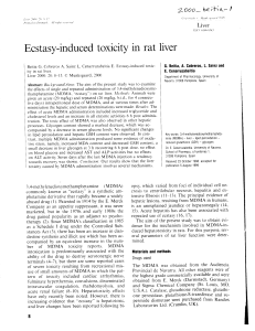 Ecstasy-induced toxicity in rat liver