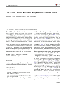 Camels and Climate Resilience: Adaptation in Northern Kenya