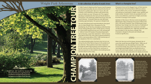 Champion Tree Tour Booklet