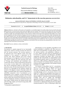 Melatonin, mitochondria, and Ca2+ homeostasis in the exocrine
