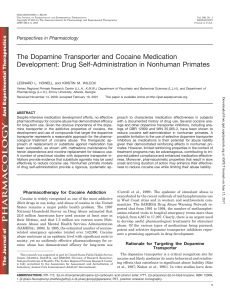 The Dopamine Transporter and Cocaine Medication Development