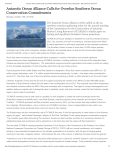 Antarctic Ocean Alliance Calls for Overdue Southern Ocean