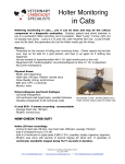 Holter Monitoring in Cats