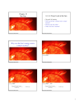 Chapter 14 Our Star 14.1 A Closer Look at the Sun Why was the