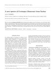 A new species of Crataegus (Rosaceae) from Turkey