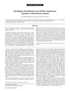 PDF Print - APS Journals - American Phytopathological Society