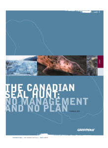The Canadian Seal Hunt: No Management and